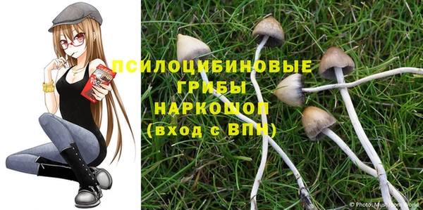 хмурый Белоозёрский