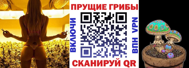 цены   Светлогорск  Псилоцибиновые грибы ЛСД 