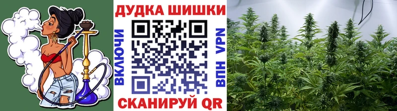 Бошки Шишки семена  Светлогорск 
